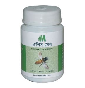 Euro Cap_Apis Mel- ইউরো ক্যাপ_এপিস মেল