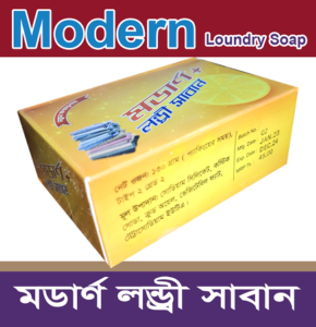 Modern laundry soap- মডার্ণ লন্ড্রি সোপ