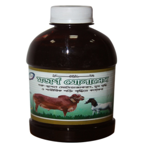 Modern Molases- মডার্ণ মোলাসেস